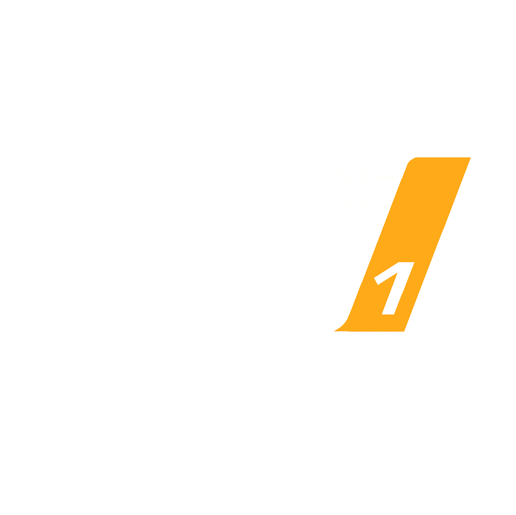 Chip Tuning